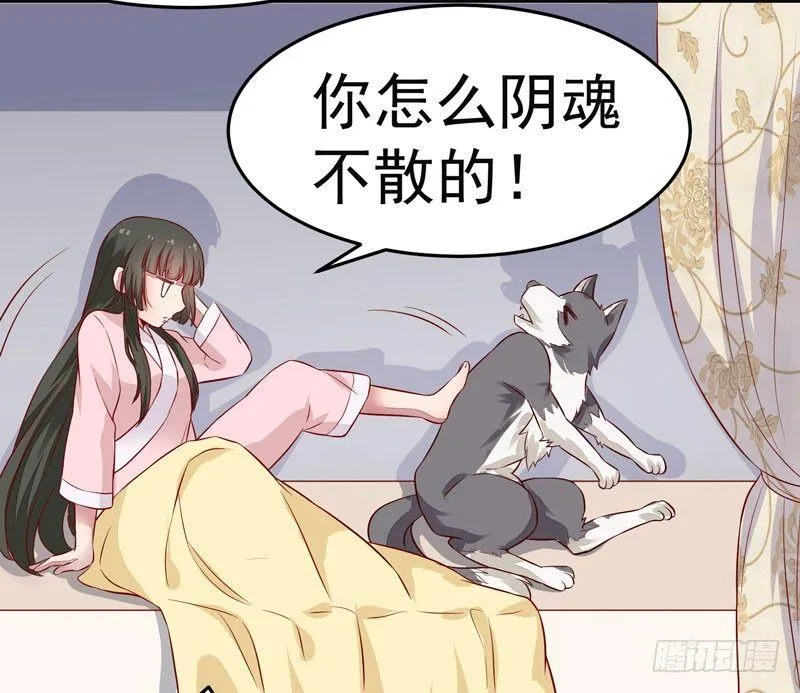第010话 强制任务 第2页