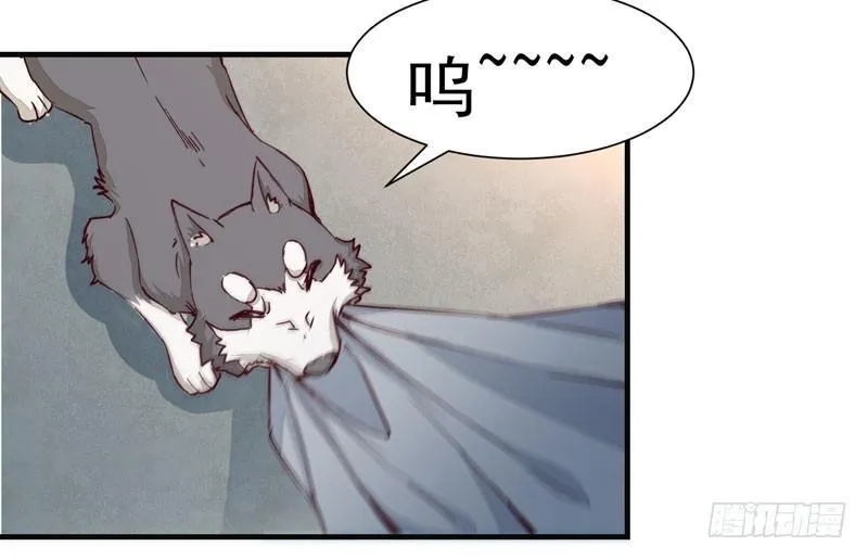 第011话 新角色登场！ 第6页