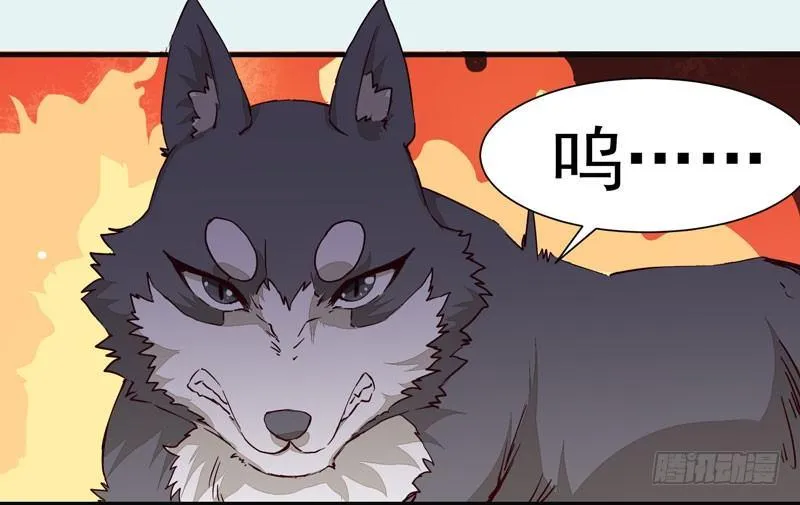 第011话 新角色登场！ 第19页