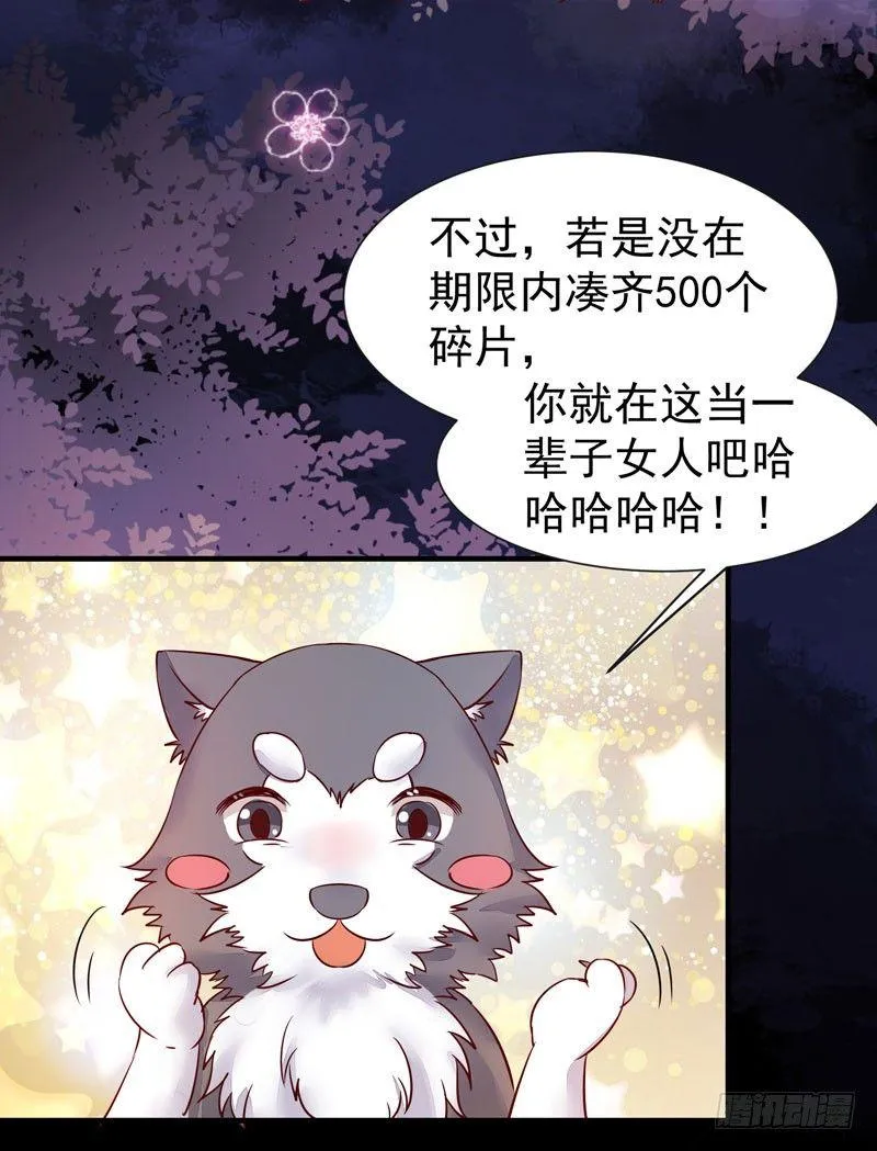 第40话 姬哥哥带我飞 第12页
