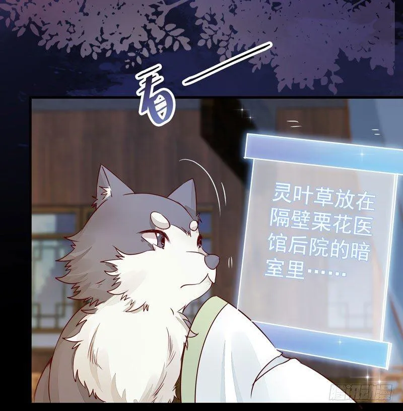 第40话 姬哥哥带我飞 第19页