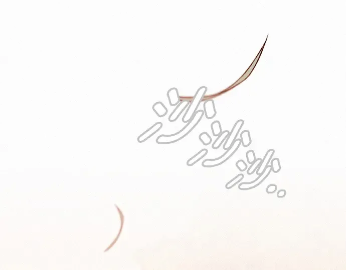第38话 第221页