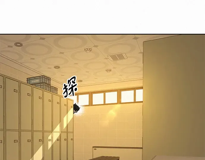 第53话 第13页