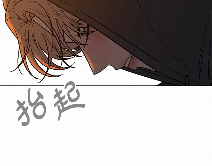 第54话 第37页