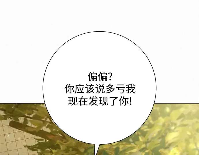 第82话 第41页