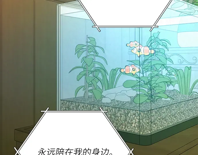 第一季 完结话 第205页