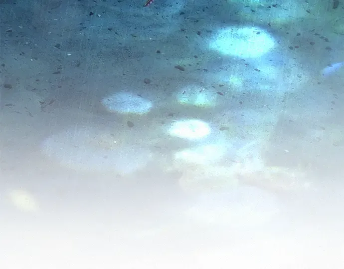 第一季 完结话 第297页