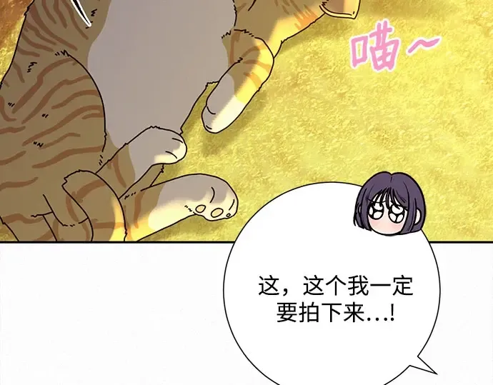 第99话 第99页