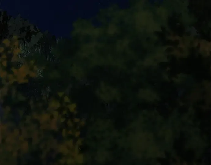 第124话 第207页
