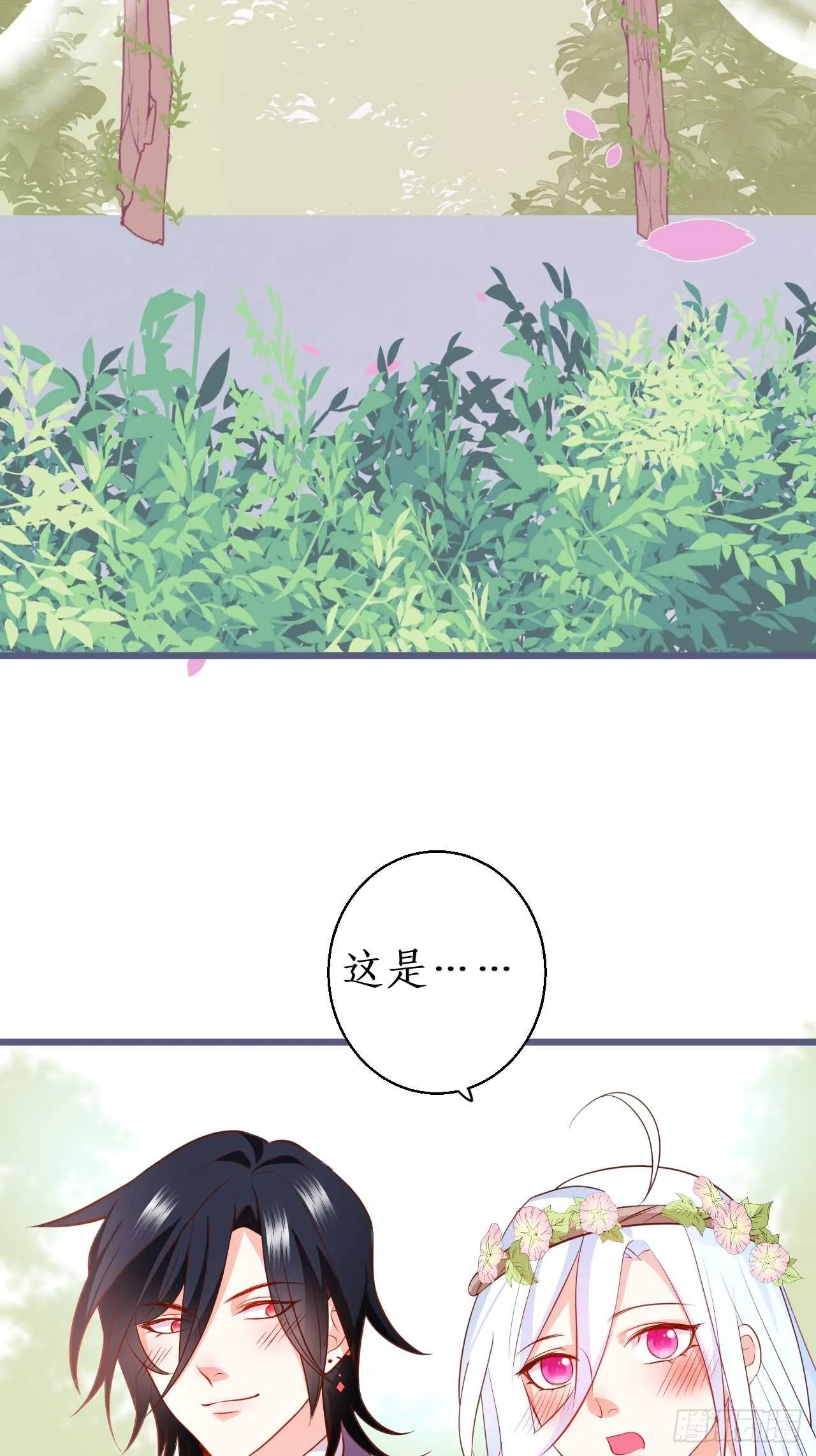 给阿绯的惊喜 第37页