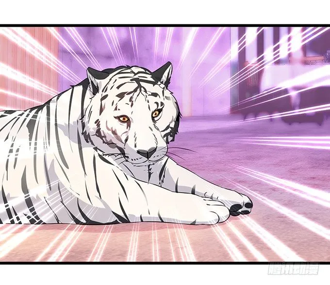 阿绯！等我来救你！ 第11页