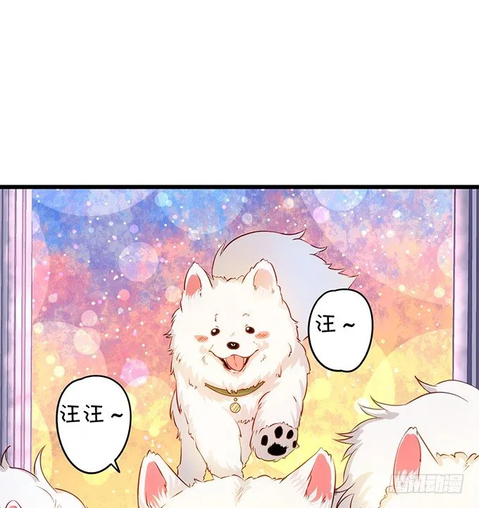二人的冰岛之旅~ 第22页
