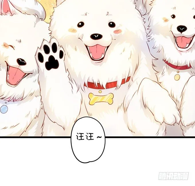 二人的冰岛之旅~ 第23页