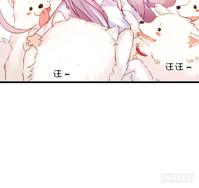 二人的冰岛之旅~ 第25页