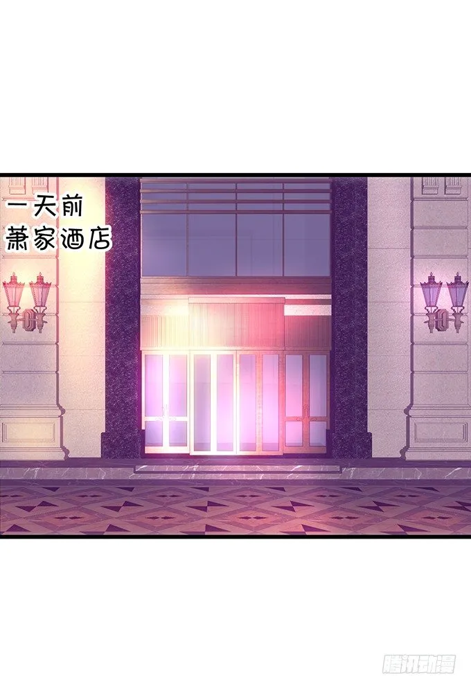 小猫咪，我们又见面了~ 第3页