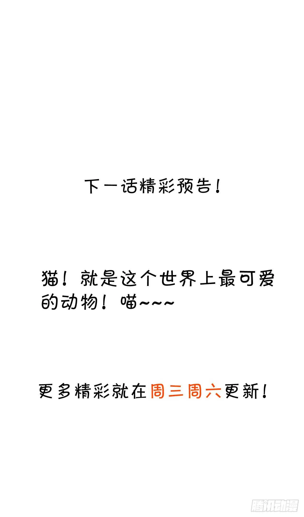 小猫咪，发现你了~ 第37页