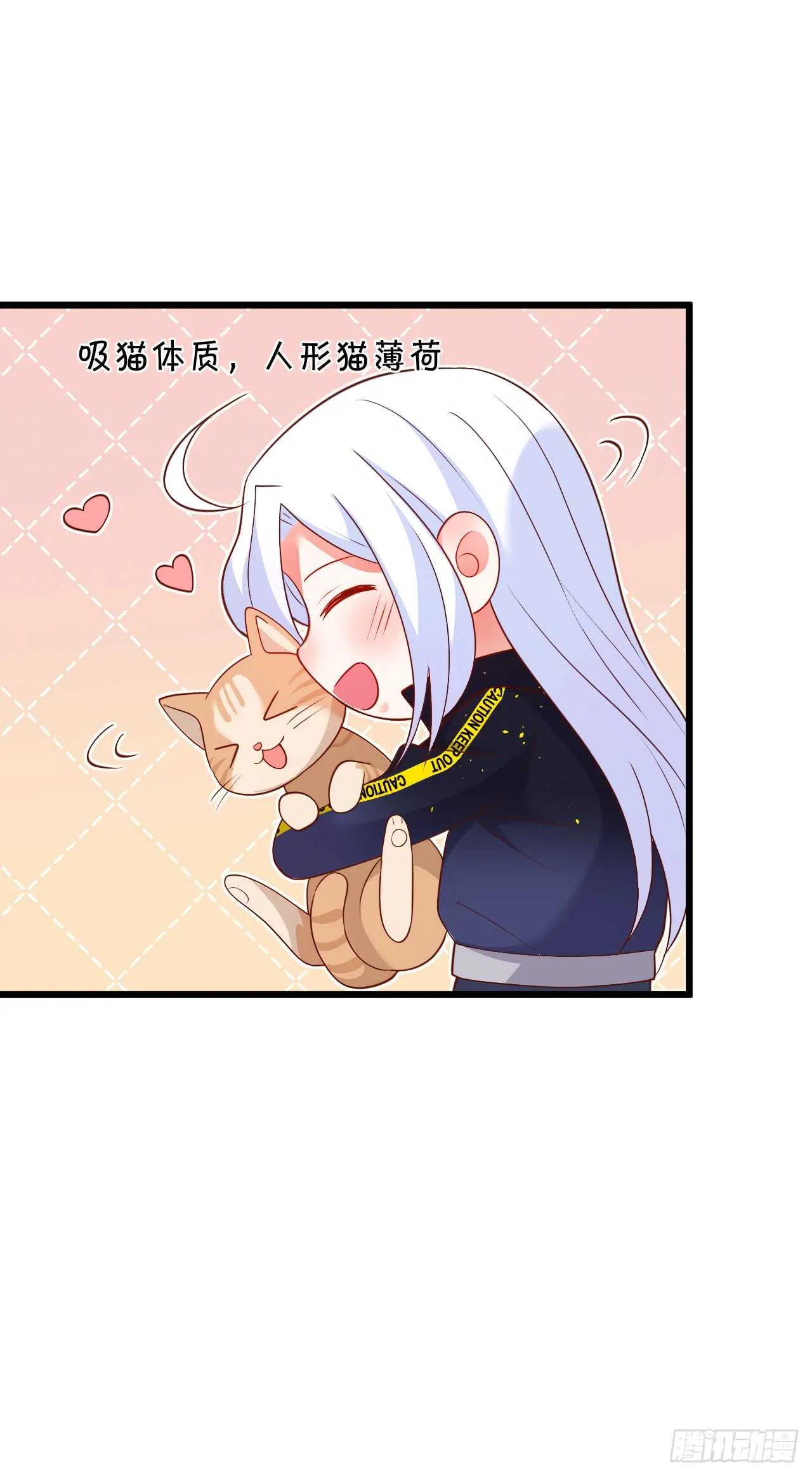 小猫咪，发现你了~ 第40页