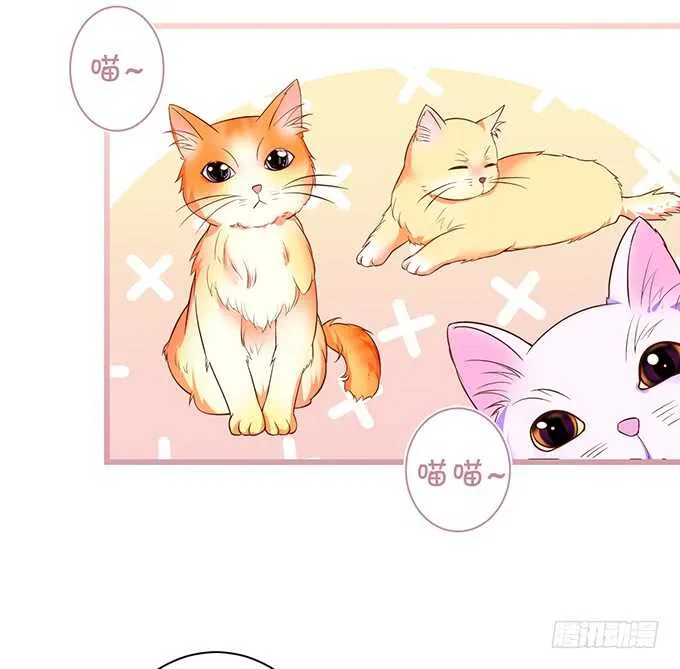 最后的温存…… 第22页
