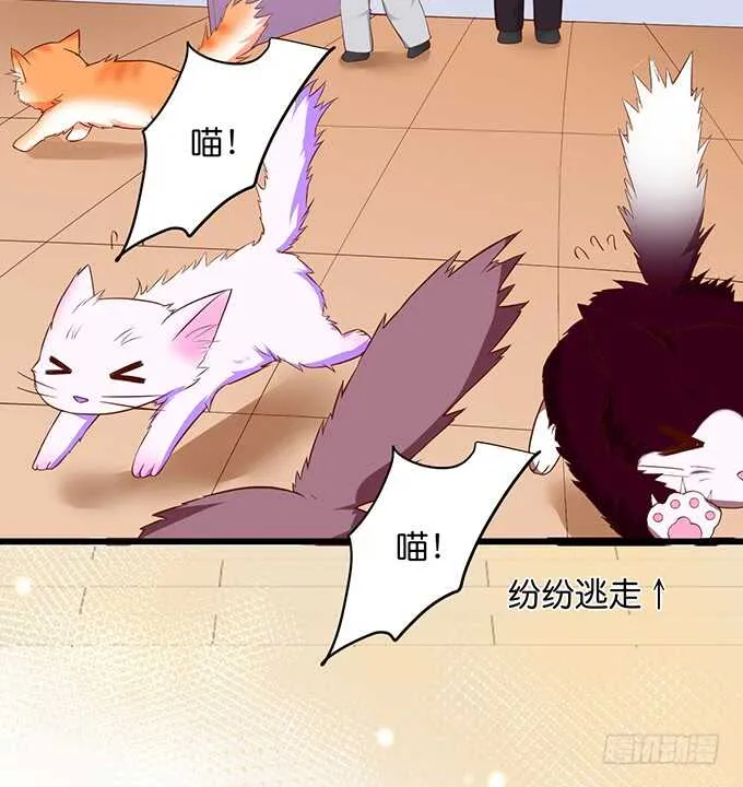 最后的温存…… 第25页