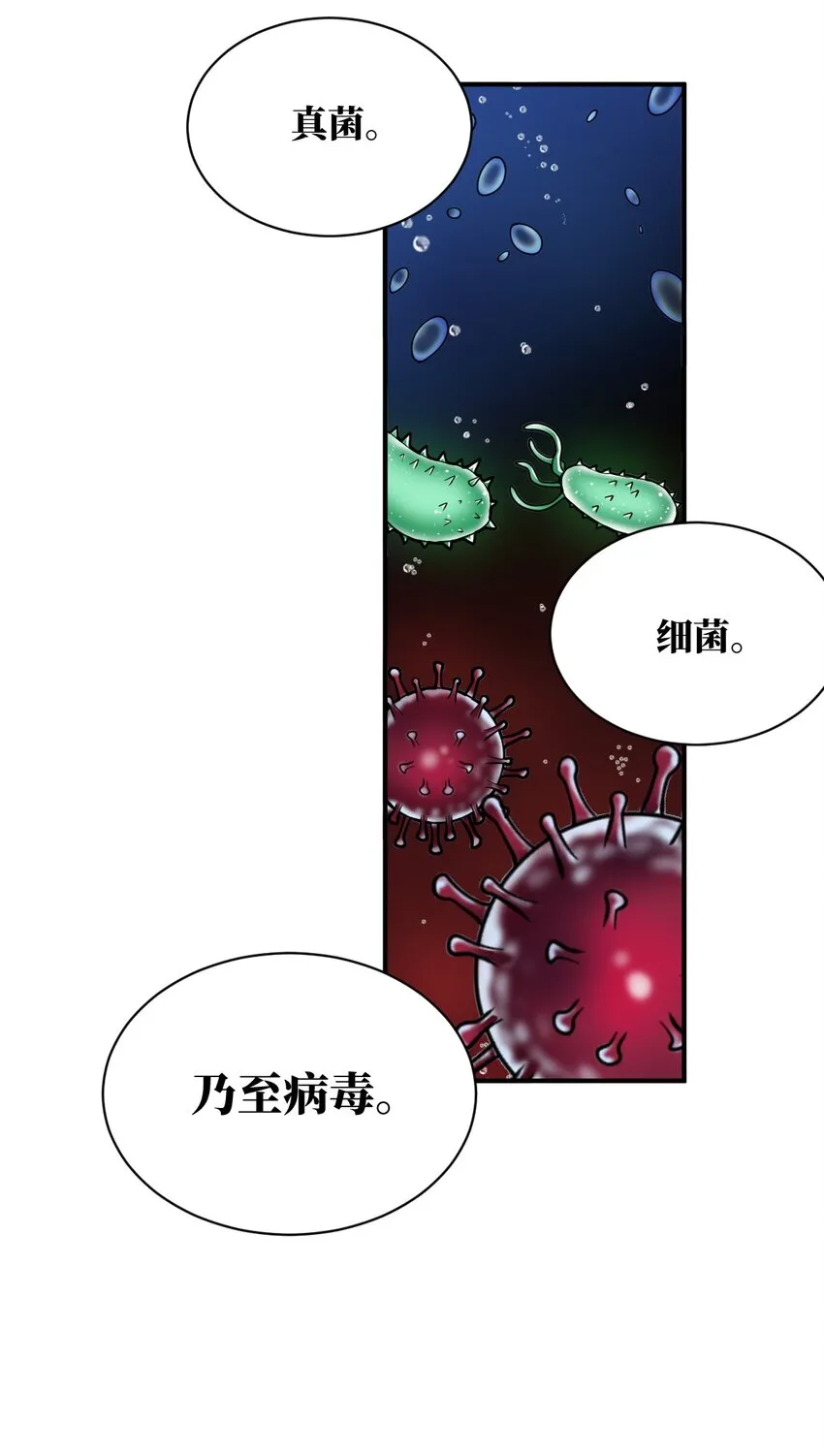 039 花已陨落，王道升腾 第15页
