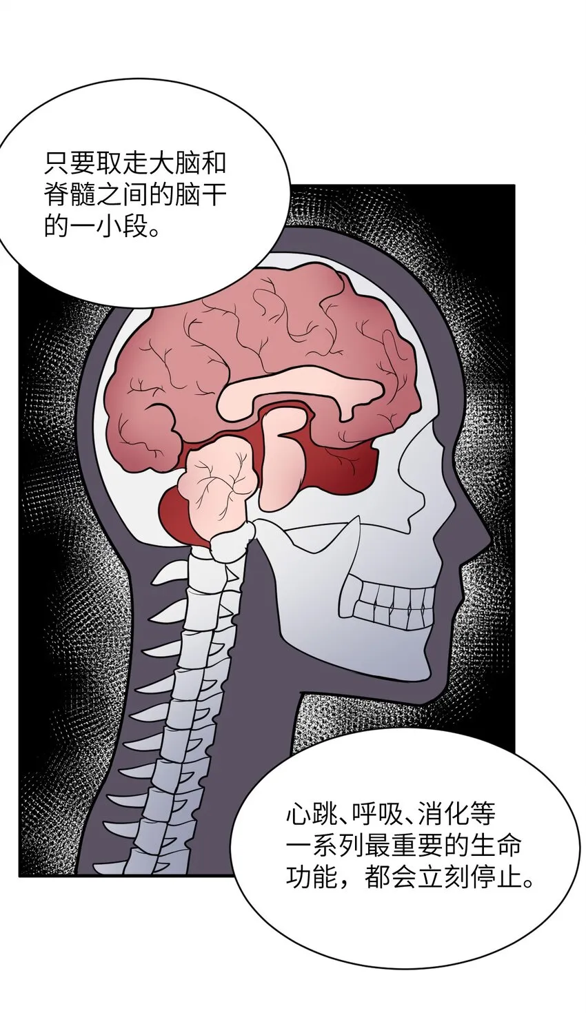 048 最高效的战争方法 第19页