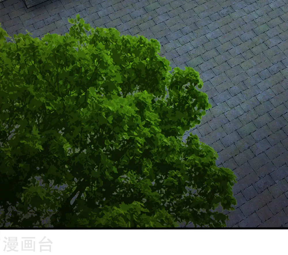 第21话 你这老嬷嬷是不是姓容啊 第14页