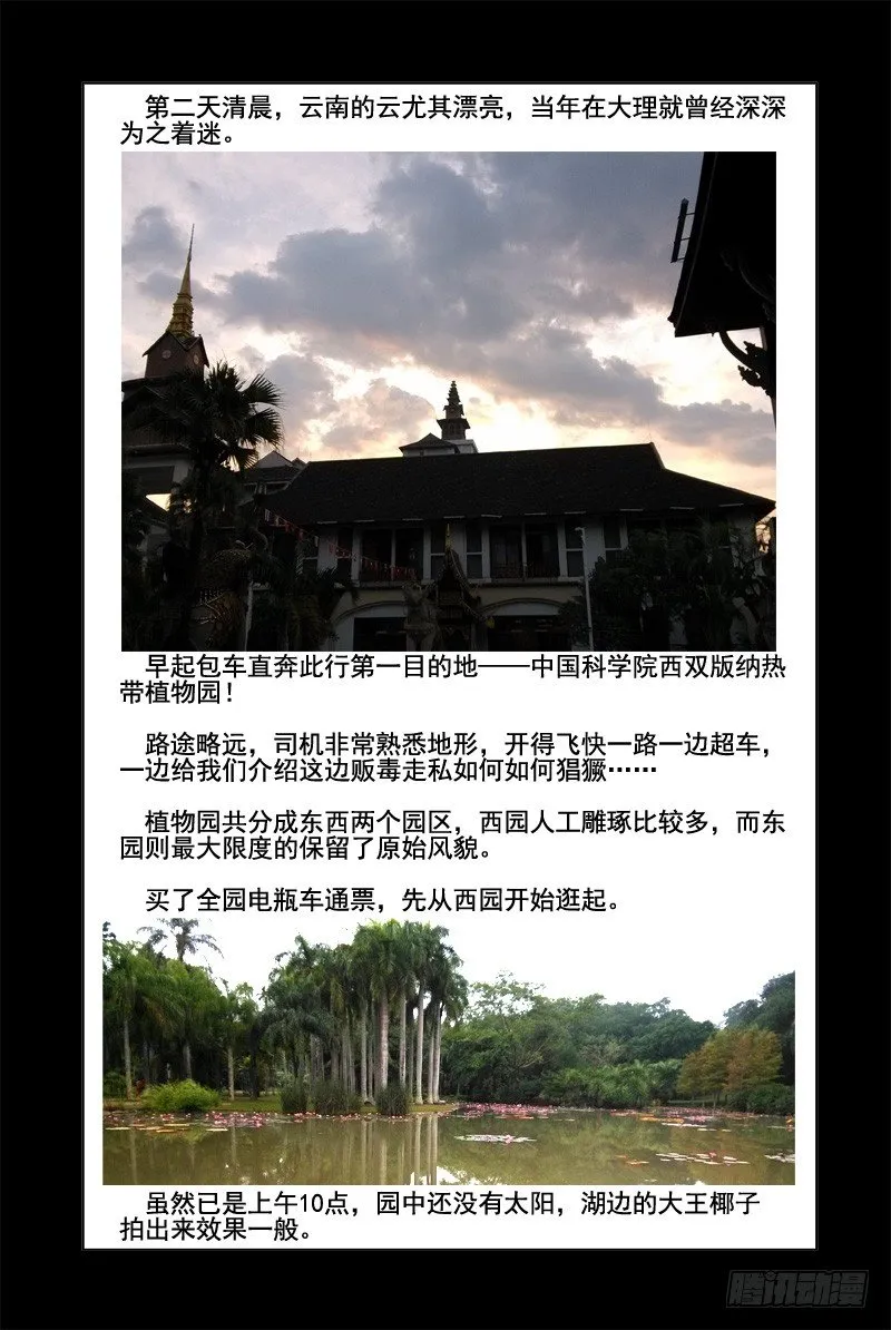 72.误打误撞 第12页