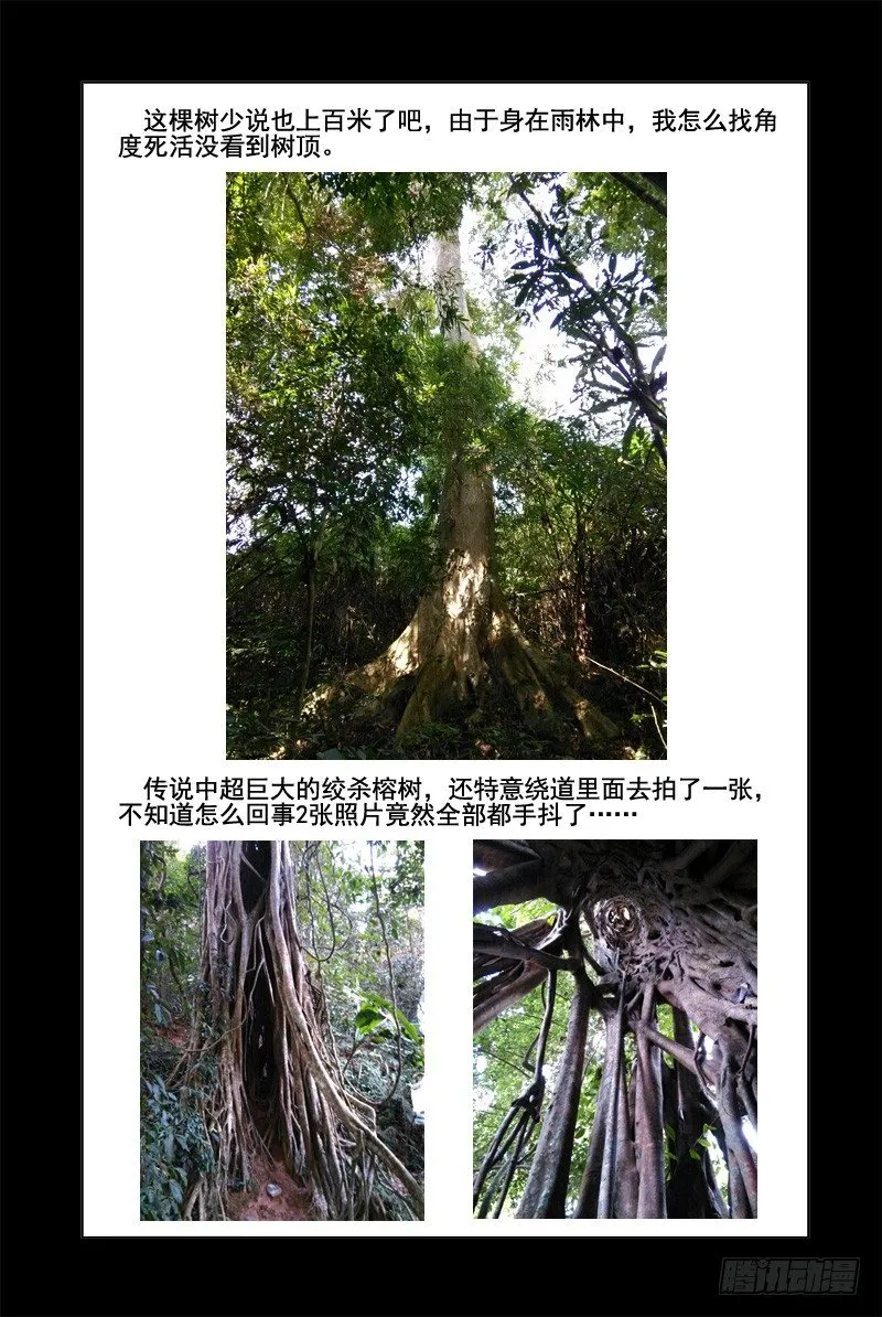 本章无正文 第4页