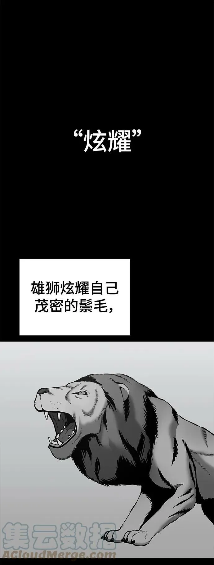 第49话 第13页