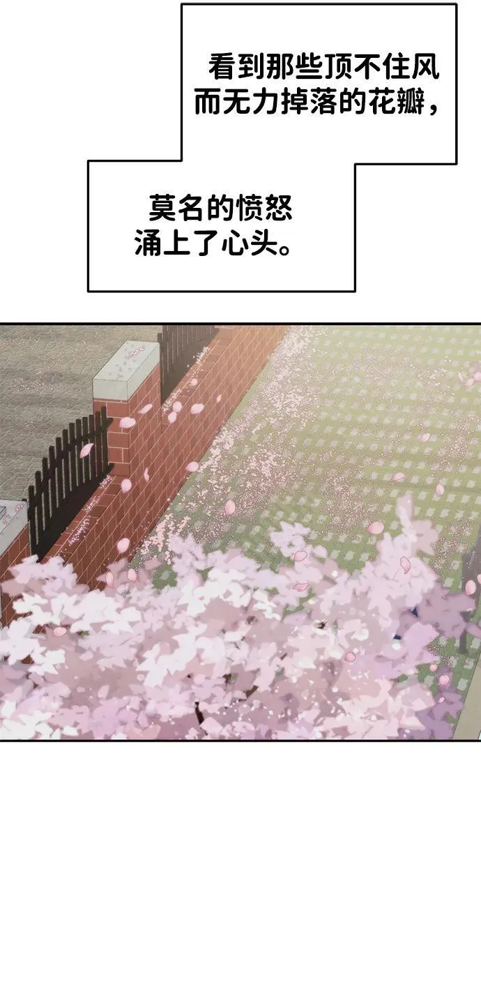 [外传] 强温（上） 第106页