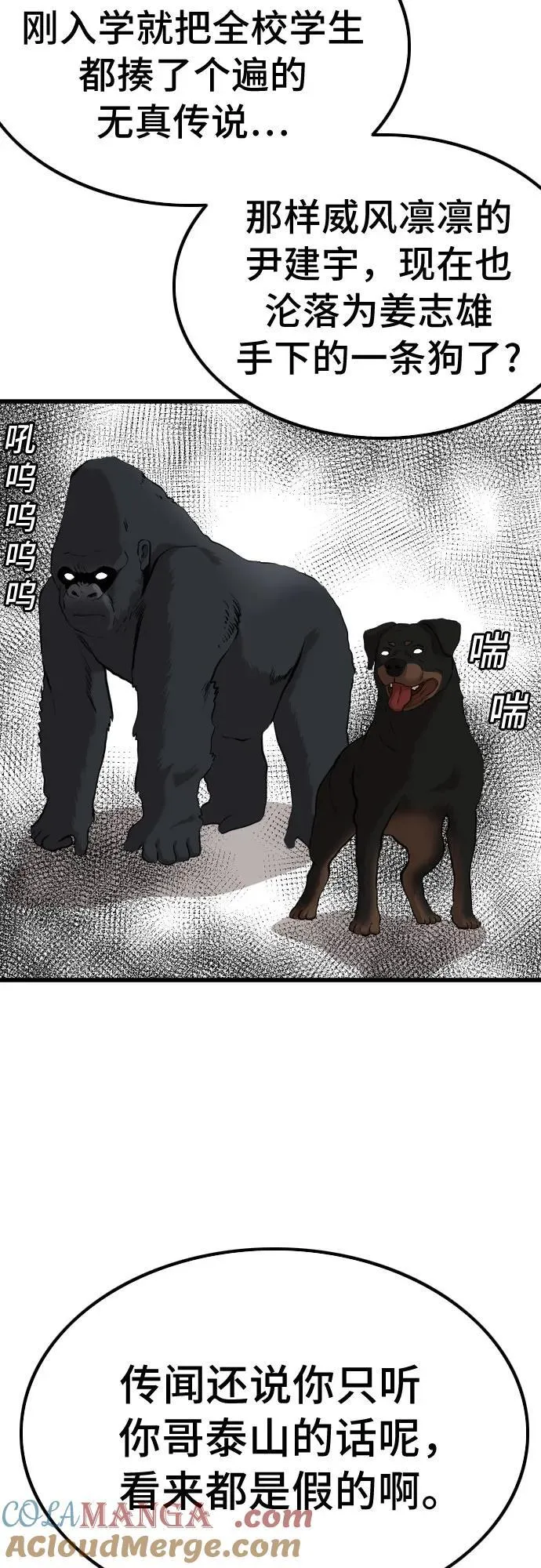 第219话 第43页