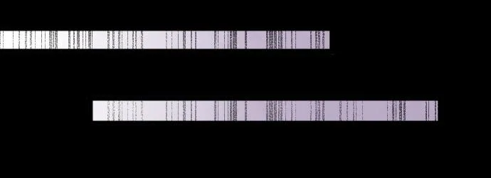 第199话 恶魔的诅咒 第42页
