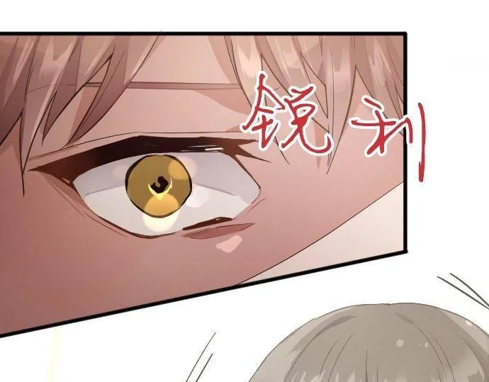 第148话同情 第66页