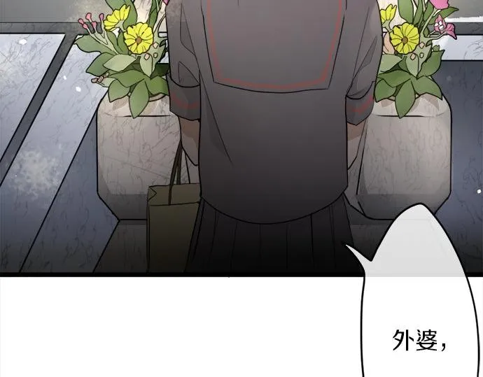 第78话萤之光 第53页