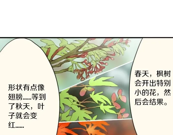 番外枫叶 第8页