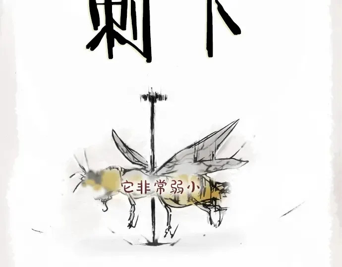 第12话已经决定 第11页