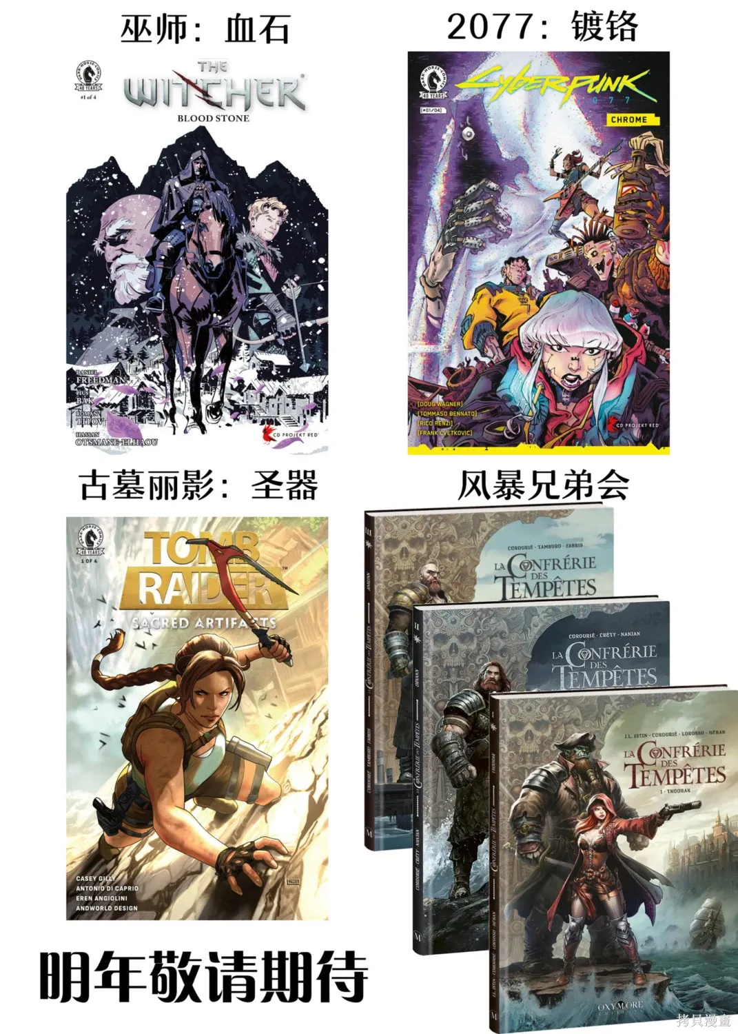 奥贡1下 第31页