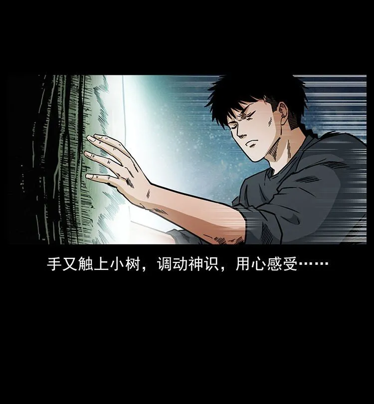 485 本核 第60页