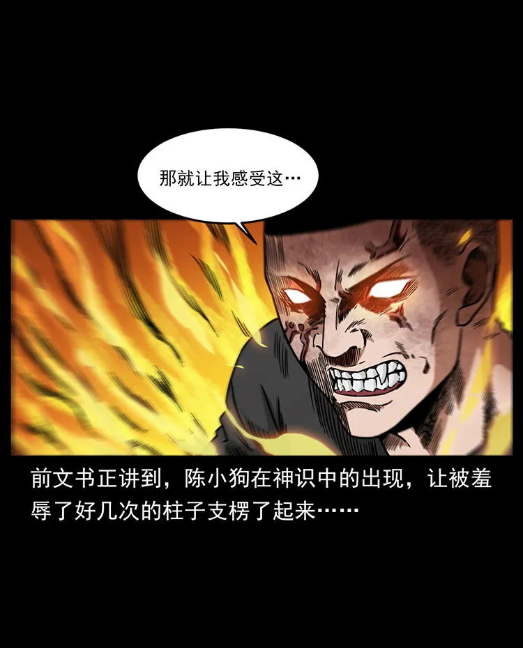 486 人与狐 第2页