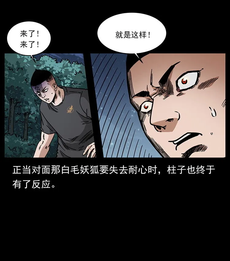 486 人与狐 第9页