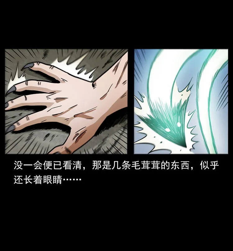486 人与狐 第33页