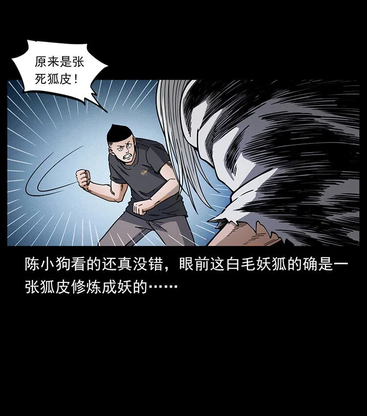 486 人与狐 第52页