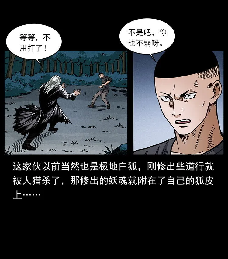 486 人与狐 第53页