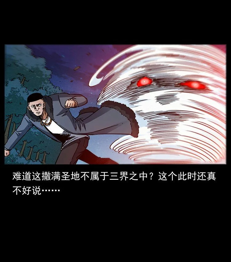 487 灾难开启！ 第29页