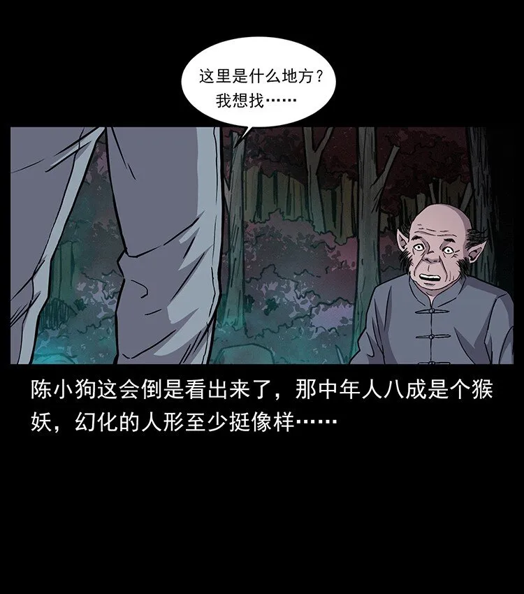 490 黑暗森林 第36页