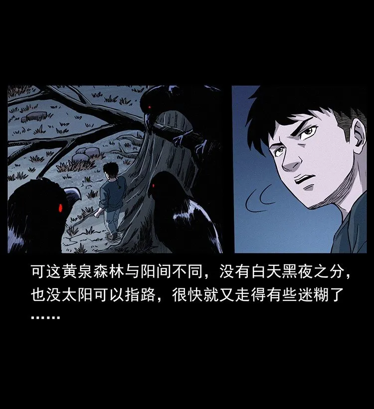 491 硬刚 第4页