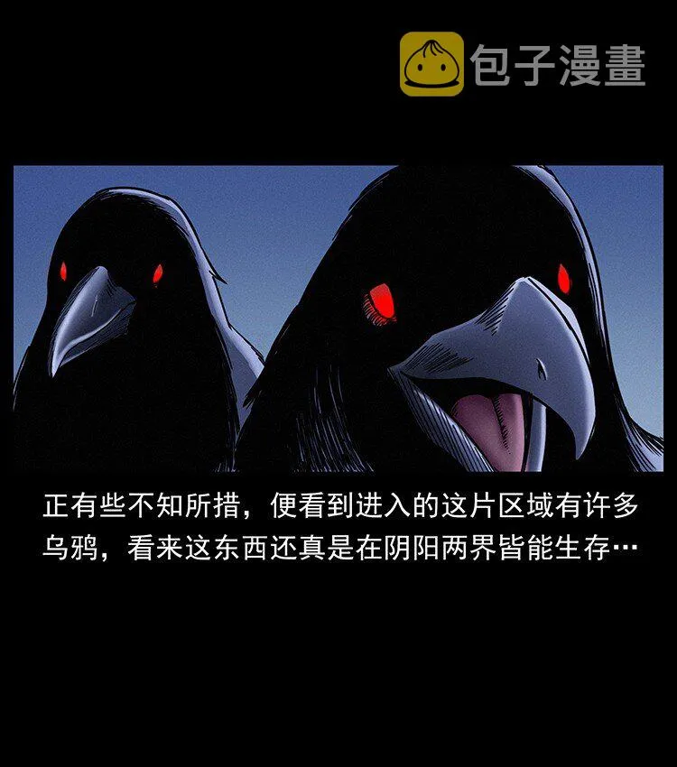 491 硬刚 第5页