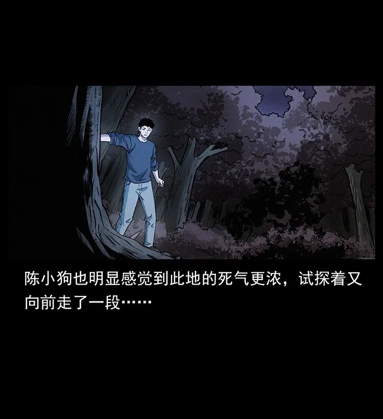 491 硬刚 第6页