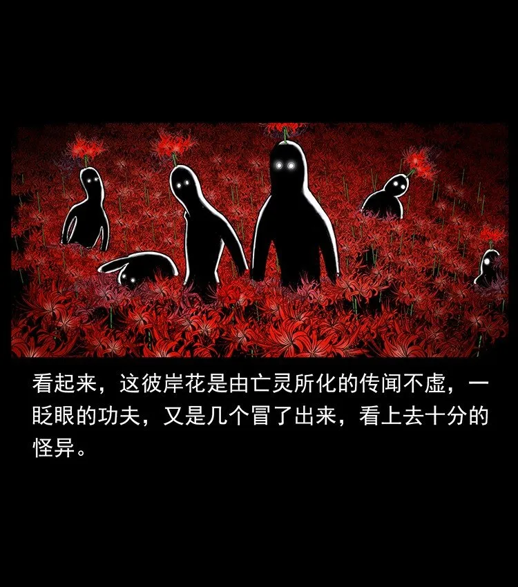 491 硬刚 第10页