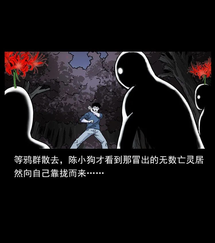 491 硬刚 第12页